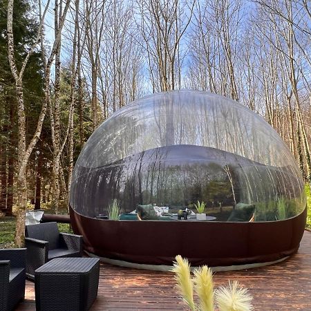 Logement Insolite "Bubble Jungle" Saint-Évarzec Kültér fotó