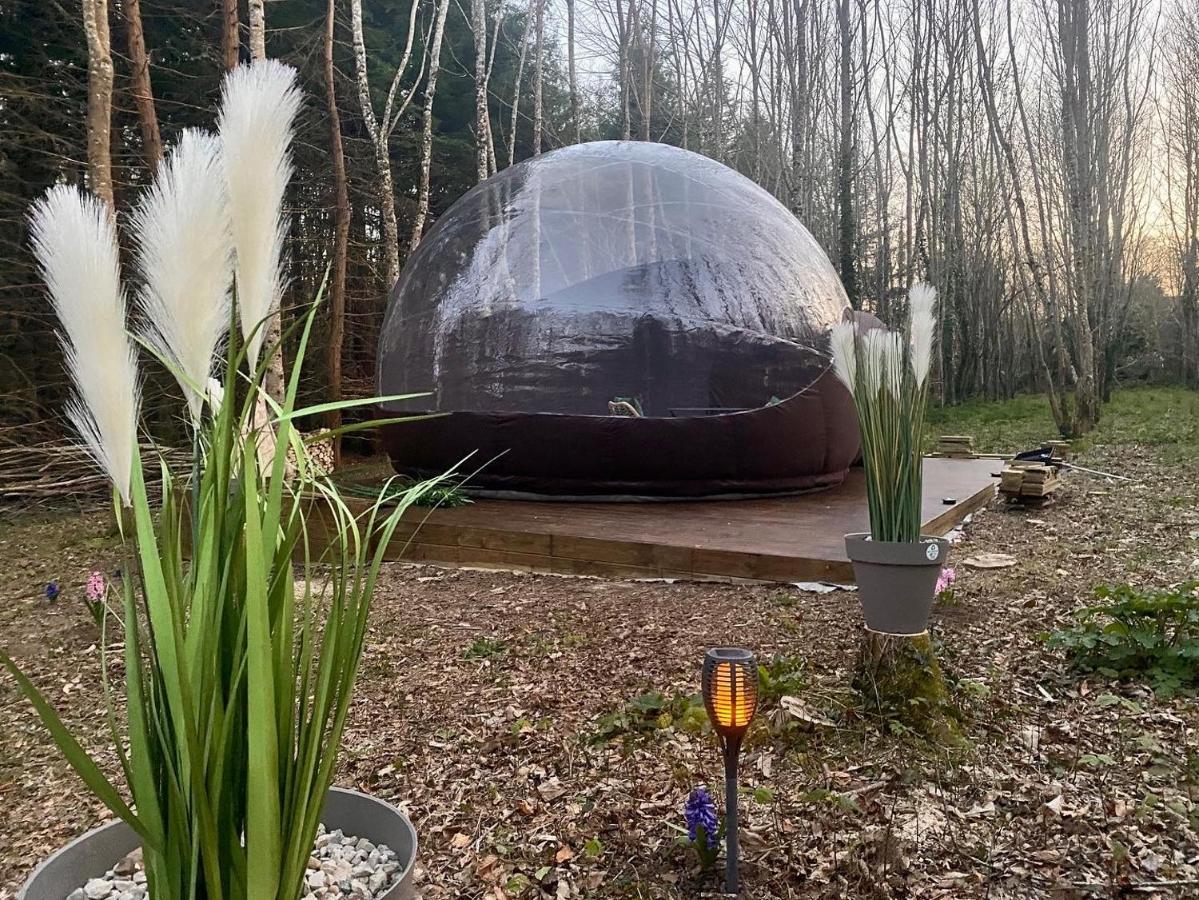 Logement Insolite "Bubble Jungle" Saint-Évarzec Kültér fotó