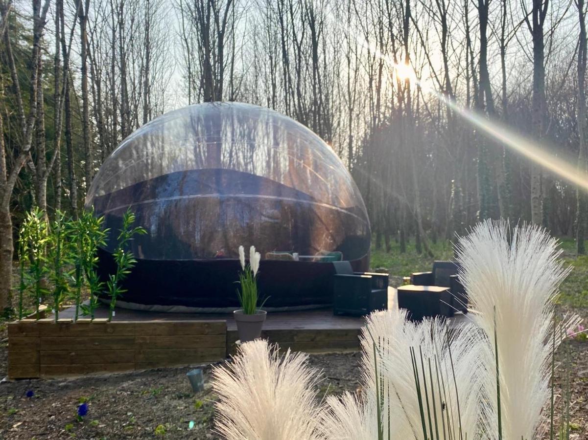 Logement Insolite "Bubble Jungle" Saint-Évarzec Kültér fotó