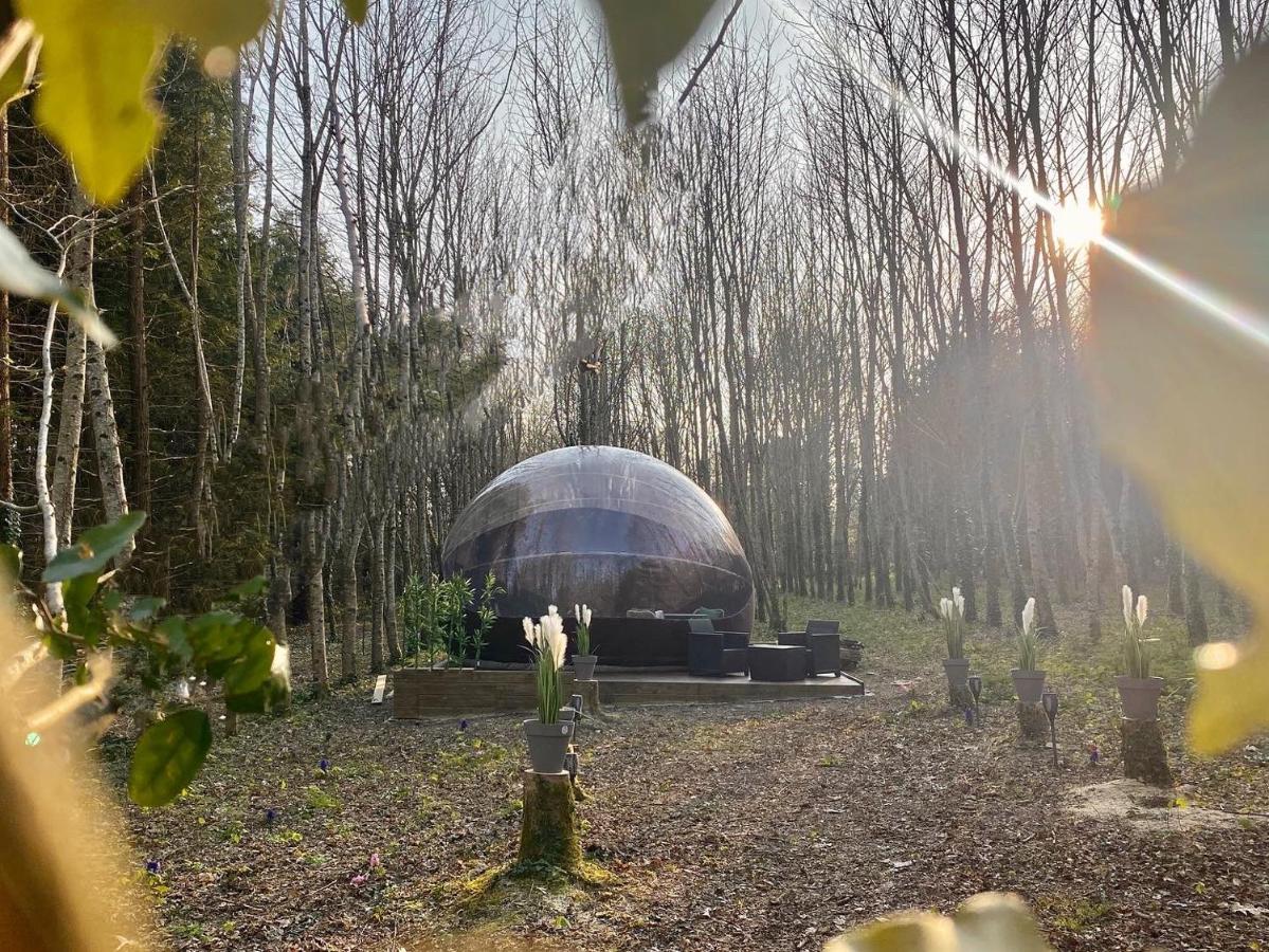 Logement Insolite "Bubble Jungle" Saint-Évarzec Kültér fotó