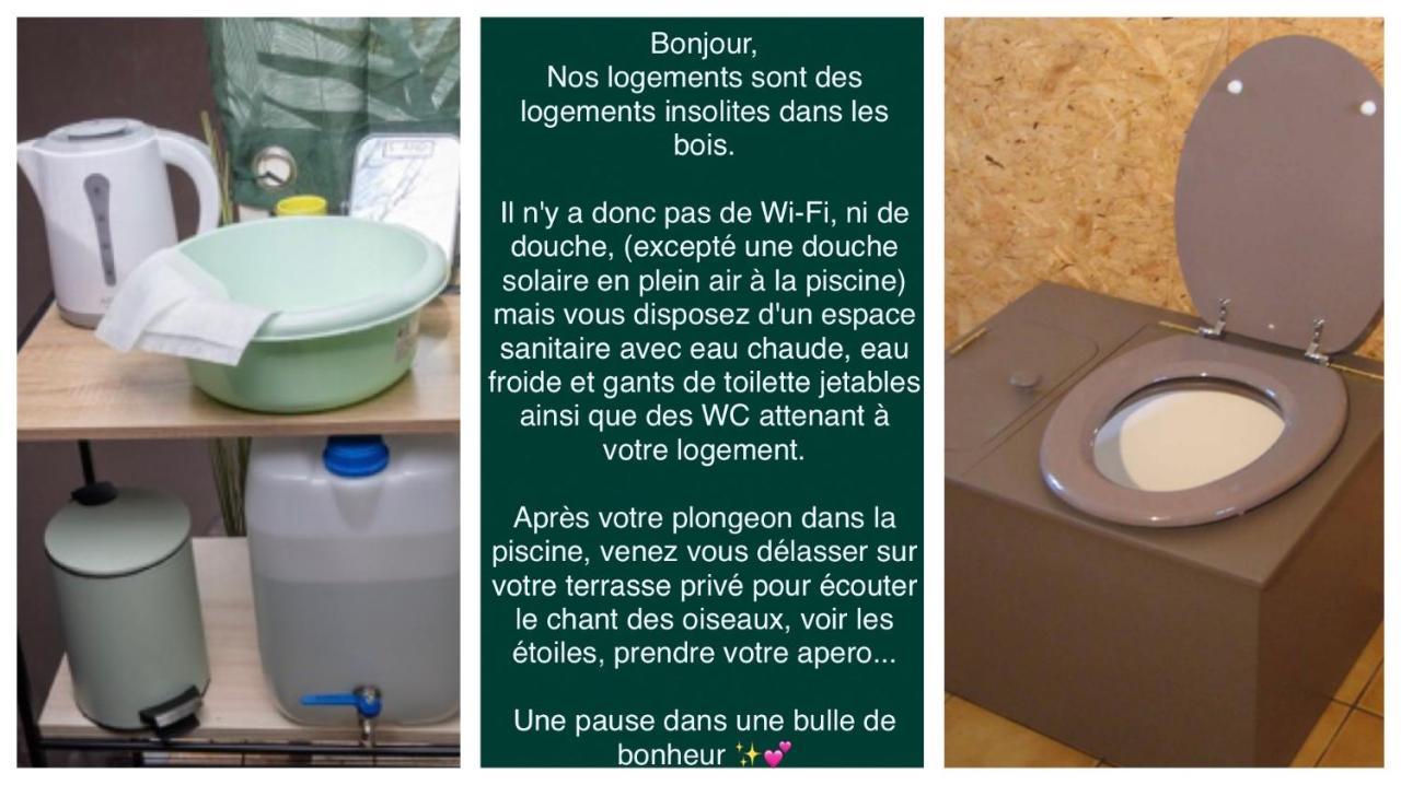 Logement Insolite "Bubble Jungle" Saint-Évarzec Kültér fotó